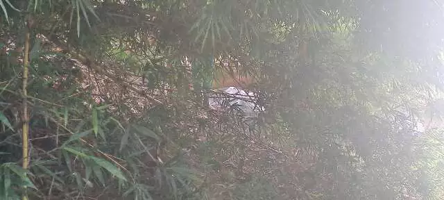 Corpo de paraguaio é encontrado no Rio Apa após 9 dias de buscas