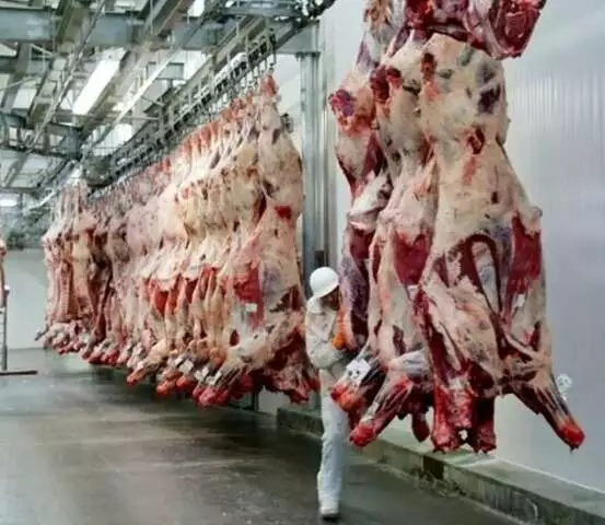 Efeitos da Nova Tarifa Chinesa sobre a Carne em MS: O Que Esperar?