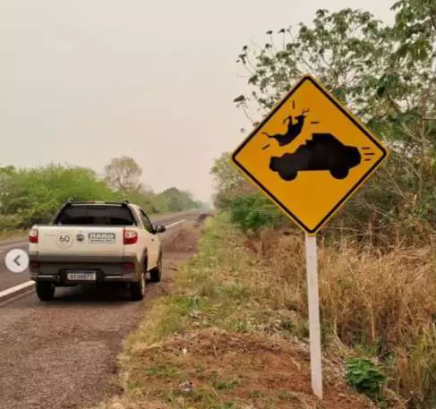Estudo revela que placas de travessia de fauna são ineficazes