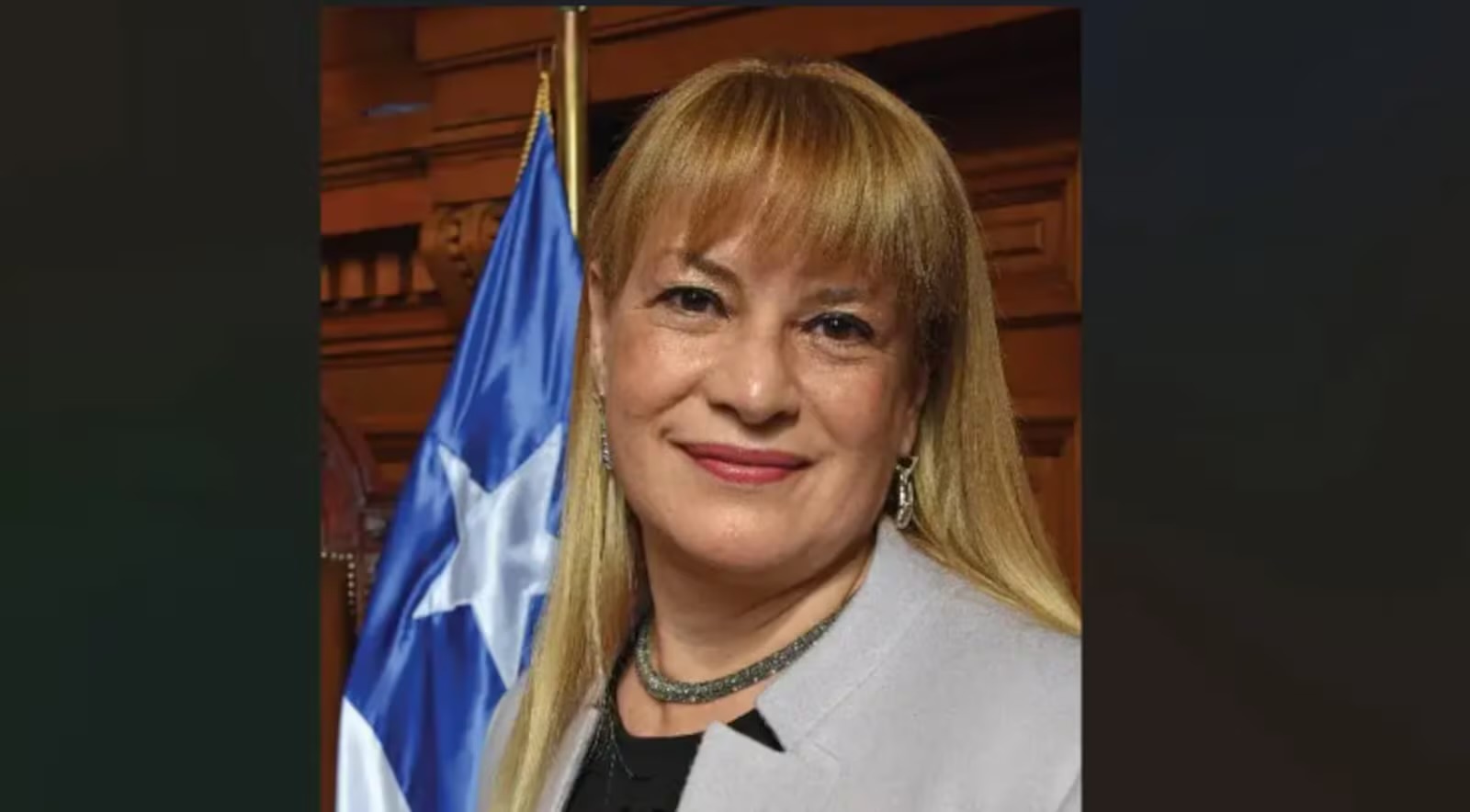 Ángela Vivanco foi destituída do cargo de ministra em setembro de 2024Foto Pedro Mora BritoWiki...