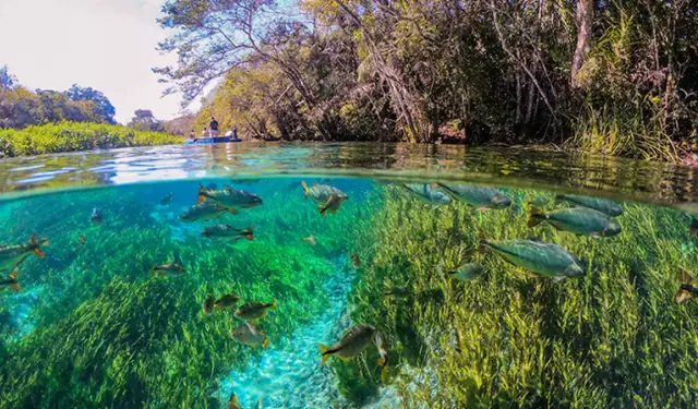 Justiça mantém taxa turística de R$ 15 em Bonito; entenda a decisão