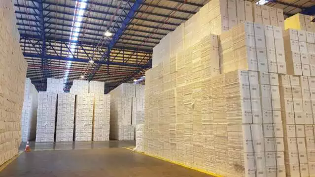 MS exporta 1 milhão de toneladas de celulose para União Europeia em 2025