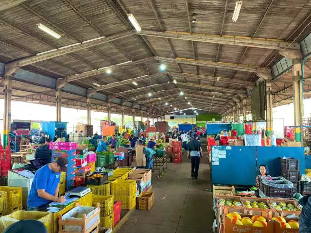 Regras para venda de alimentos in natura em 2026