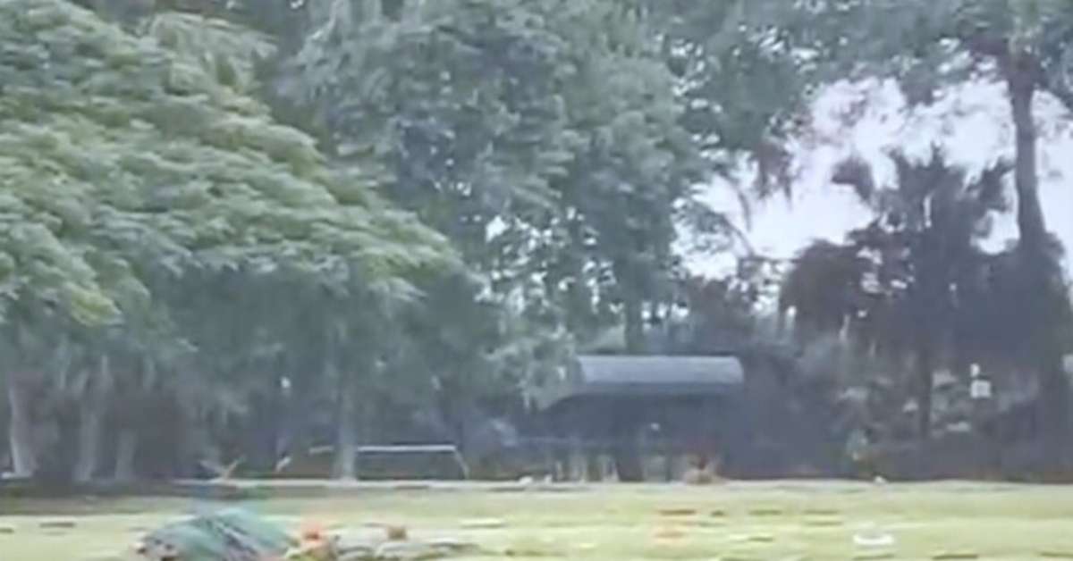 Reprodução de vídeo/Metrópoles