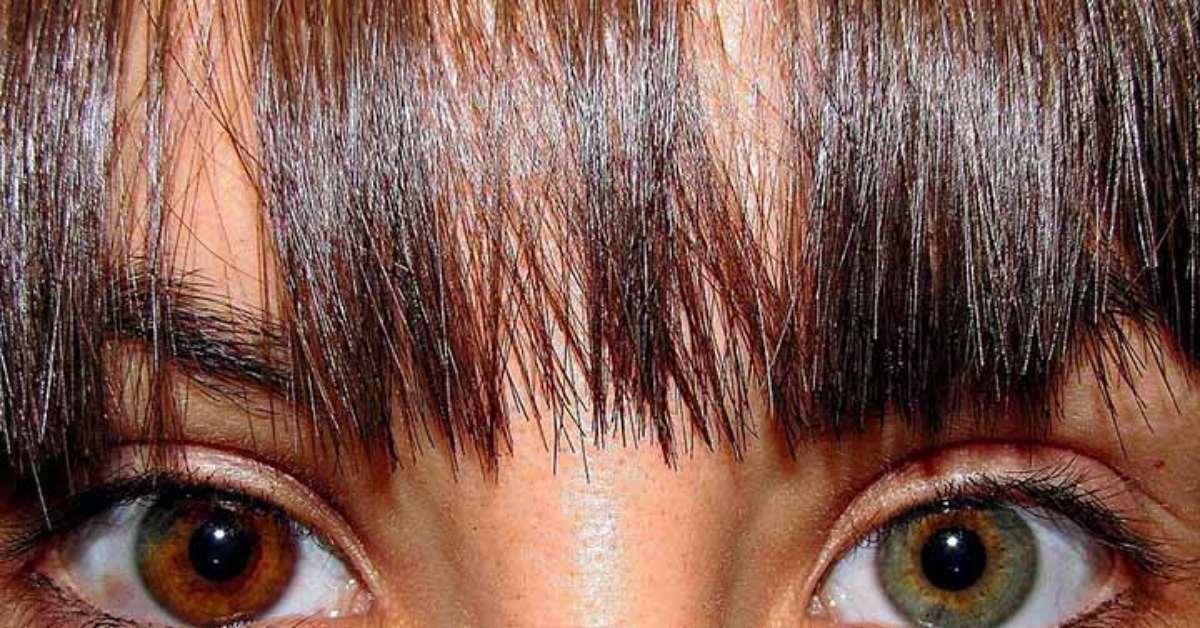 Xavier Nájera/Wikimédia Commons